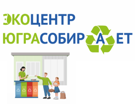 Экоуроки «Югра собирает».