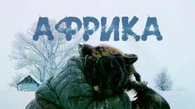Киноурок, посвящённый дню освобождения Ленинграда от блокады.